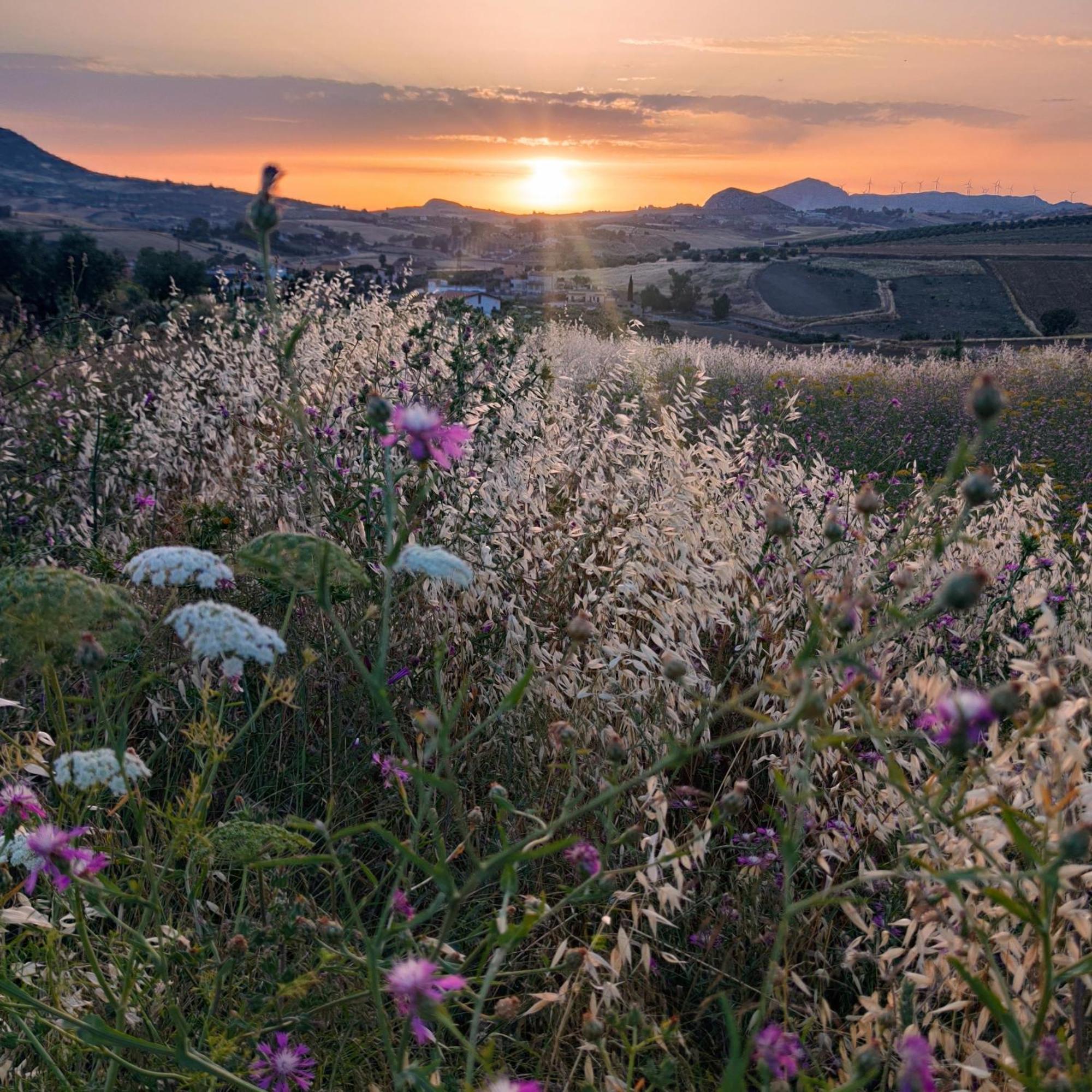 أغريجنتو B&B Della Via Francigena المظهر الخارجي الصورة