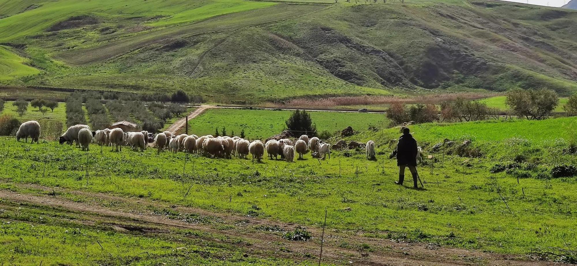 أغريجنتو B&B Della Via Francigena المظهر الخارجي الصورة
