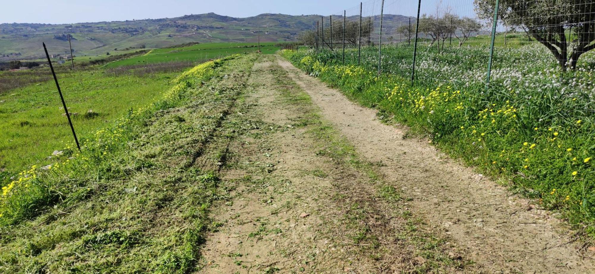 أغريجنتو B&B Della Via Francigena المظهر الخارجي الصورة